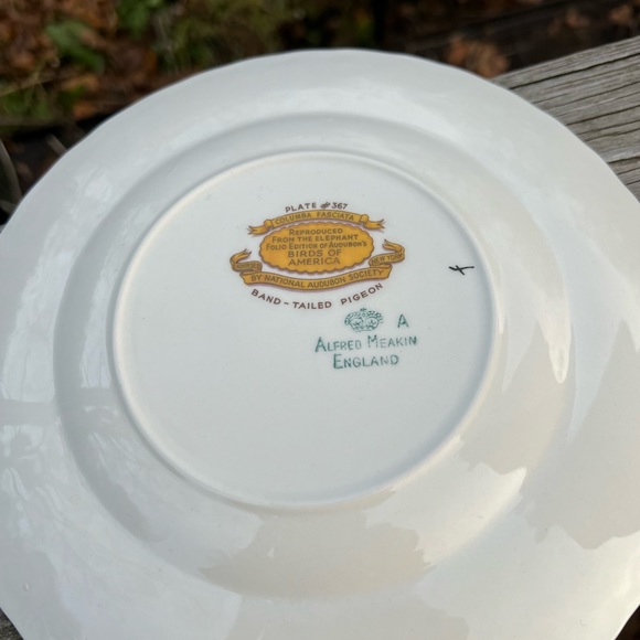 Meakin Band-Tailed Pigeon #367 and  # 168 Fork-Tailed Flycatcher 8.75” Plate Set - Picture 12 of 13